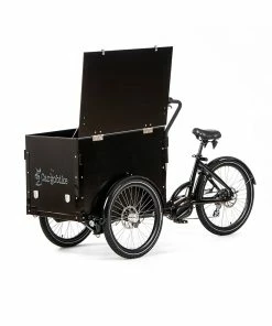 CargoBike Of Sweden Cargobike Delight Box – El-ladcykel Med Låg