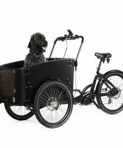 CargoBike Of Sweden Cargobike Delight Dog El-ladcykel